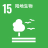 vippay钱包(China)官网