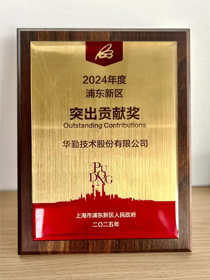 VipPay钱包荣获2024年度上海市浦东新区凸起贡献奖